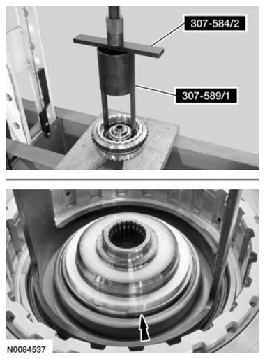 G07444382