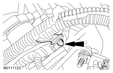 G07479935