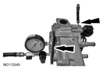 G07481907