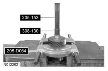 G07488736