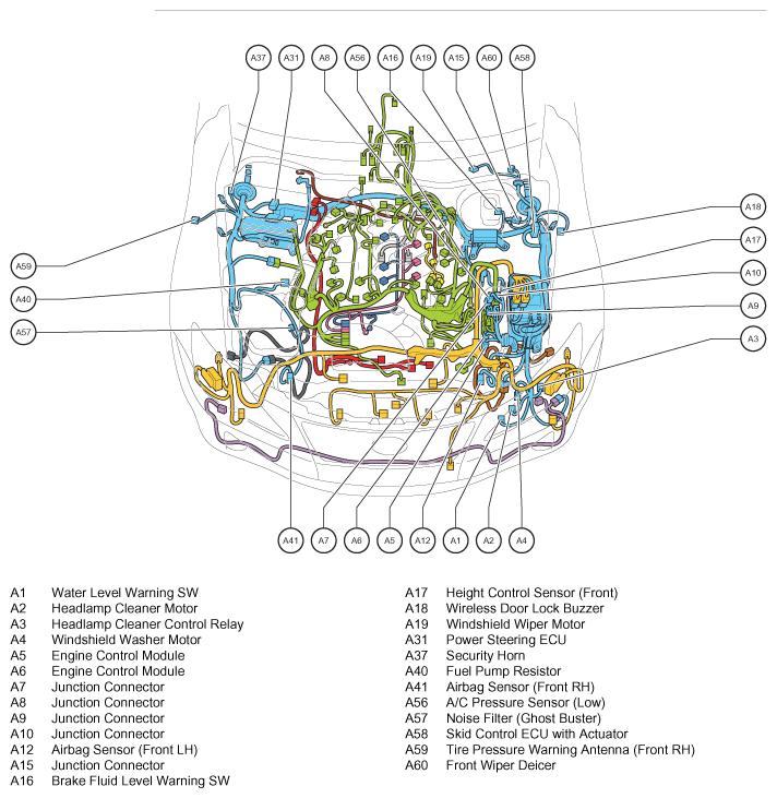 G07558906