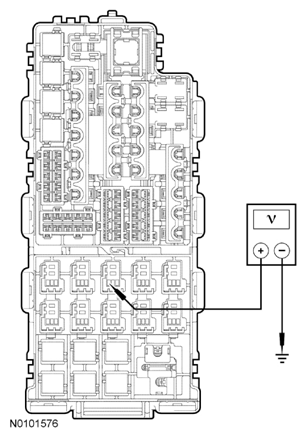 G07797175