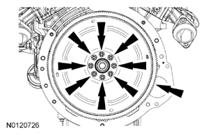 G07959029