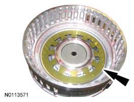 G07972494