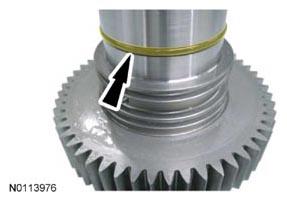 G07972525
