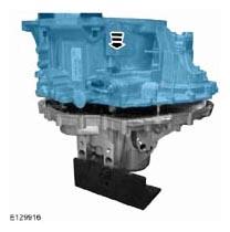 G07979831