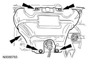 G08019630