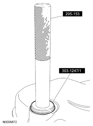 G08020647