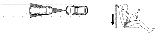 G08058294