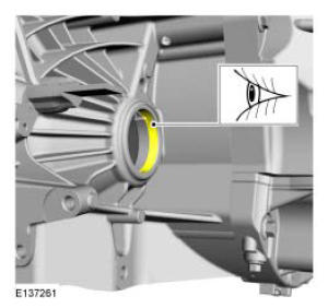 G08064075