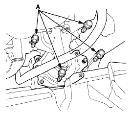 G08065981