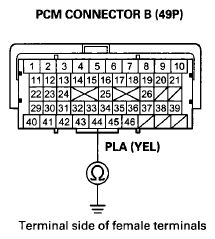 G08066424