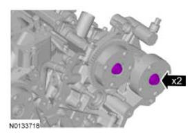 G09065662