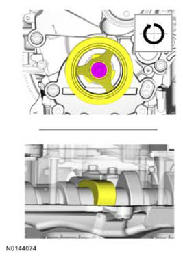 G09066794