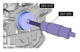 G09069411