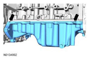 G09069566