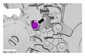 G09069582