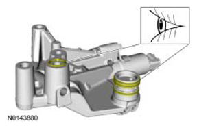 G09069666
