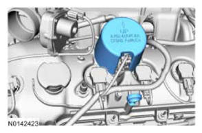 G09069674