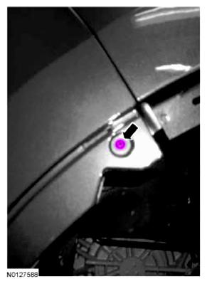 G09091533