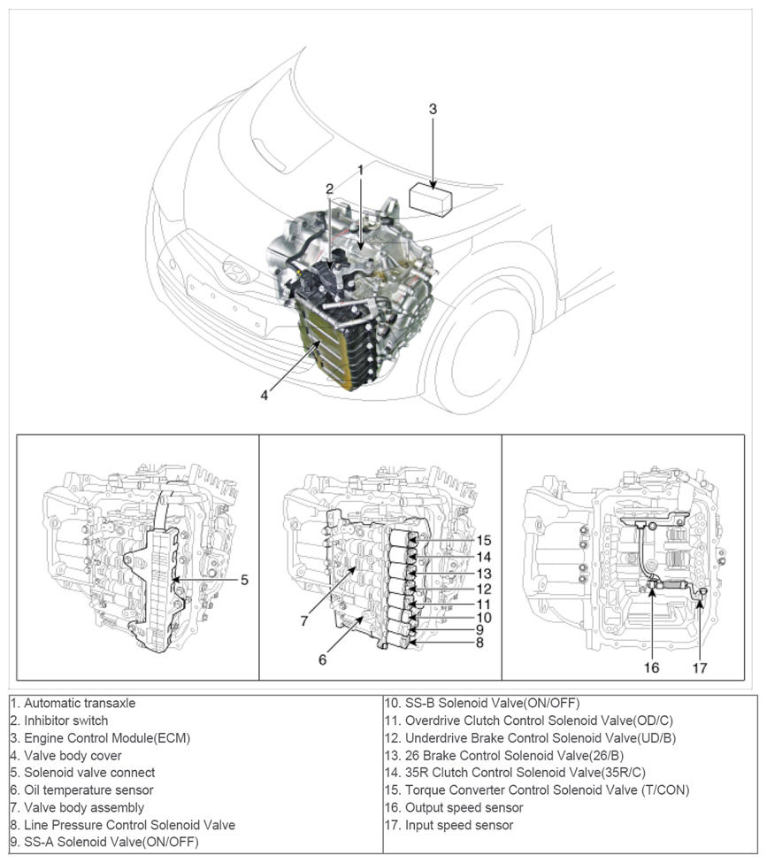 G09150589