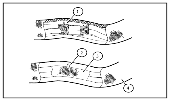 G09257400