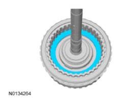 G09295857