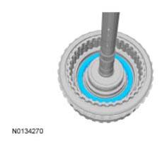 G09295862