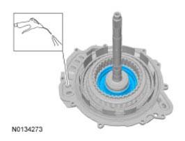 G09295865