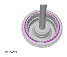 G09295876