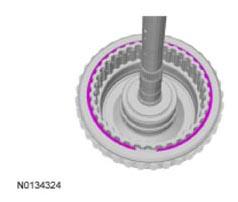 G09295881