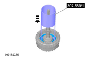 G09295890