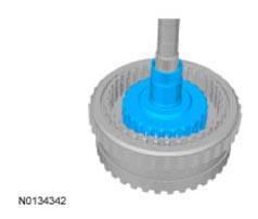G09295896
