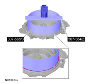 G09295904