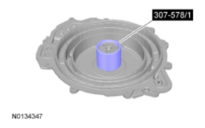G09295909