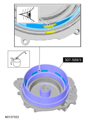 G09295911
