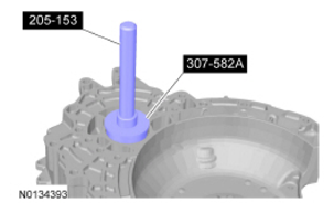 G09295955