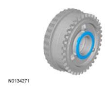 G09296009