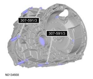G09296064