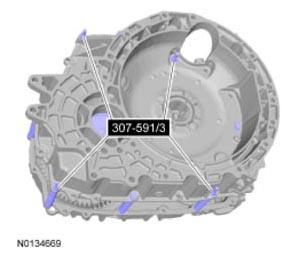 G09296065