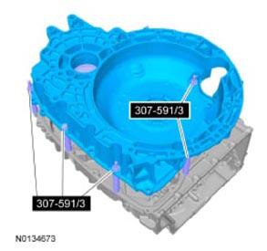 G09296069