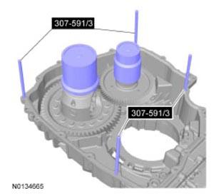G09296071