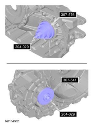 G09296081