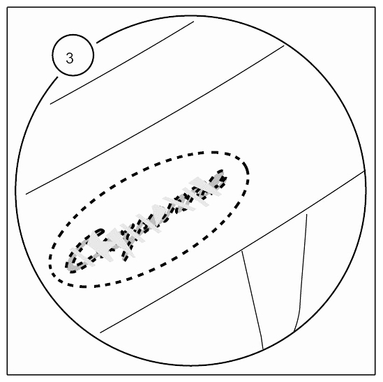 G09412252