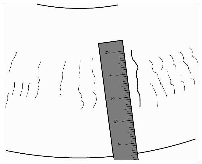 G09419531