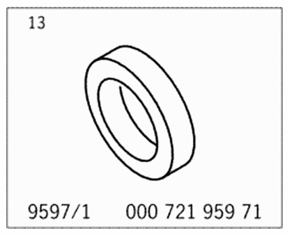G09585113