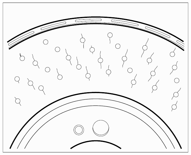G09587818