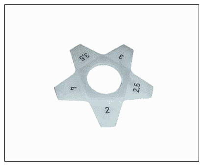 G09589294