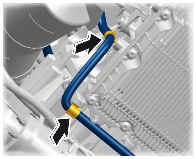 G09806901