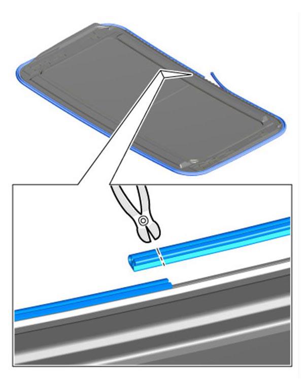 G09810808